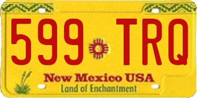 NM license plate 599TRQ