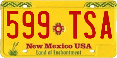 NM license plate 599TSA