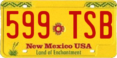 NM license plate 599TSB
