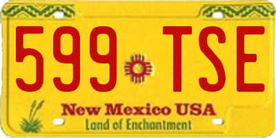 NM license plate 599TSE