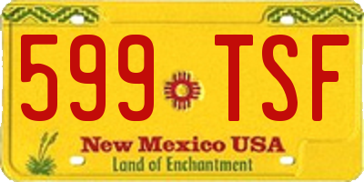 NM license plate 599TSF