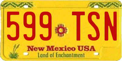 NM license plate 599TSN