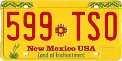 NM license plate 599TSO