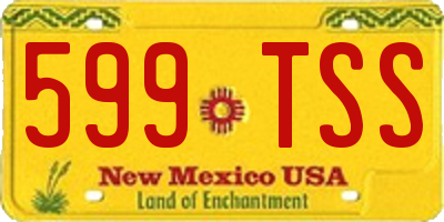 NM license plate 599TSS