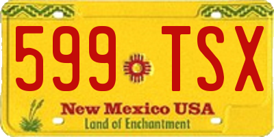 NM license plate 599TSX
