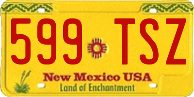 NM license plate 599TSZ