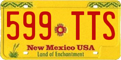 NM license plate 599TTS