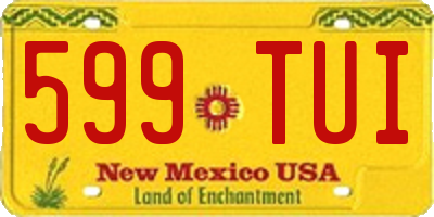 NM license plate 599TUI