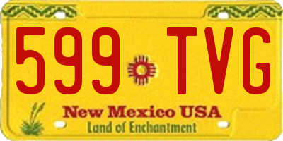 NM license plate 599TVG