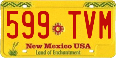 NM license plate 599TVM