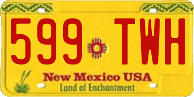 NM license plate 599TWH