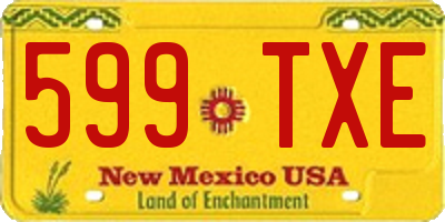 NM license plate 599TXE