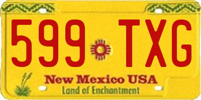 NM license plate 599TXG