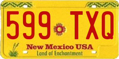 NM license plate 599TXQ