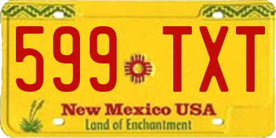 NM license plate 599TXT