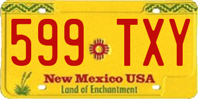 NM license plate 599TXY