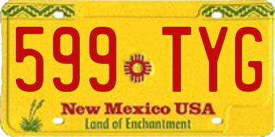 NM license plate 599TYG