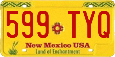NM license plate 599TYQ