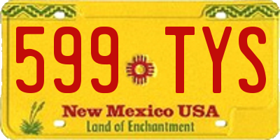 NM license plate 599TYS