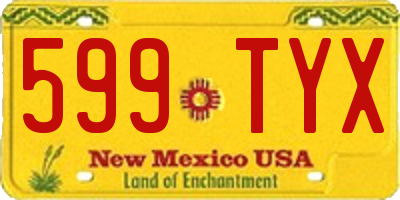NM license plate 599TYX