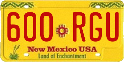 NM license plate 600RGU