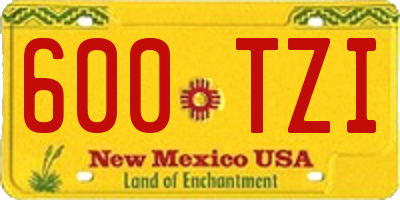 NM license plate 600TZI