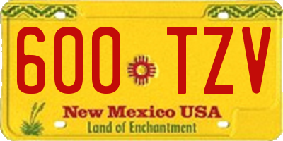 NM license plate 600TZV