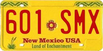 NM license plate 601SMX