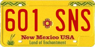 NM license plate 601SNS