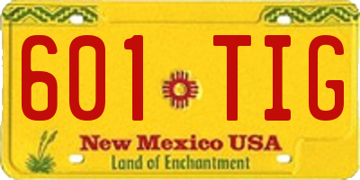 NM license plate 601TIG