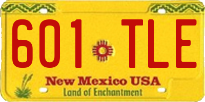 NM license plate 601TLE