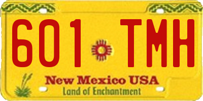 NM license plate 601TMH