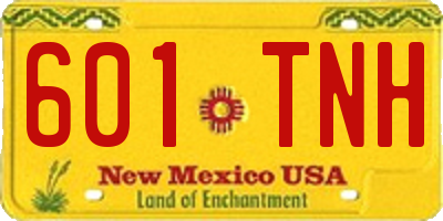 NM license plate 601TNH