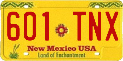 NM license plate 601TNX