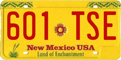 NM license plate 601TSE