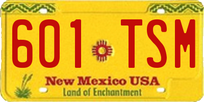 NM license plate 601TSM