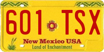 NM license plate 601TSX