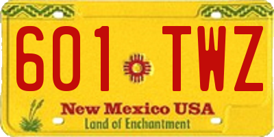NM license plate 601TWZ