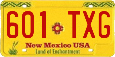 NM license plate 601TXG