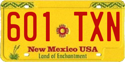 NM license plate 601TXN