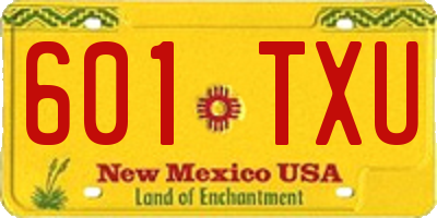 NM license plate 601TXU