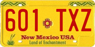 NM license plate 601TXZ