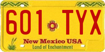 NM license plate 601TYX