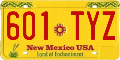 NM license plate 601TYZ