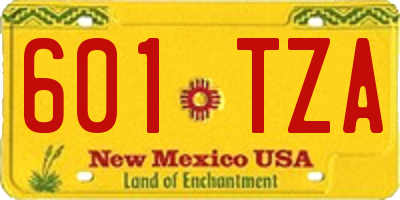 NM license plate 601TZA