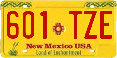 NM license plate 601TZE