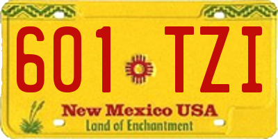 NM license plate 601TZI