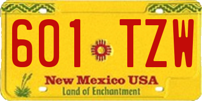 NM license plate 601TZW