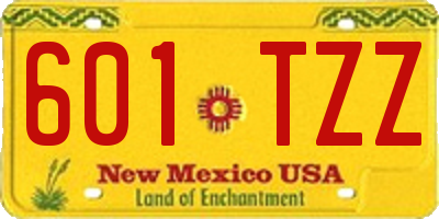 NM license plate 601TZZ