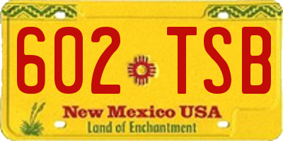 NM license plate 602TSB